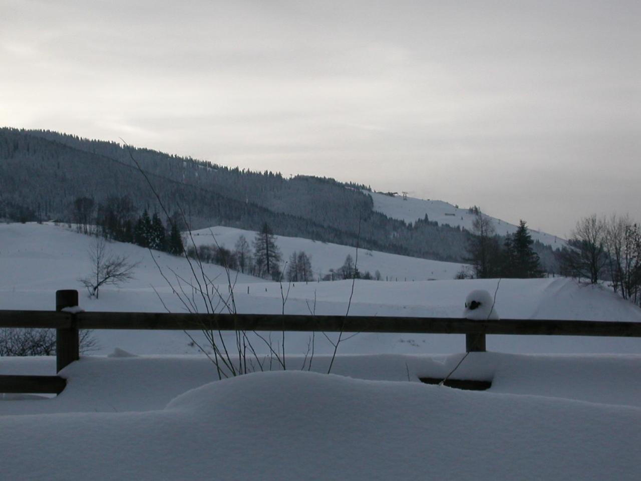 Gourmet-Hotel Gruenwald Leogang Kültér fotó